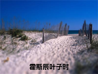霍斯辰叶子时：全文+后续+结局（叶子时霍斯辰）全文阅读无弹窗结局_(叶子时霍斯辰阅读全文结局)结局章节列表_笔趣阁（叶子时霍斯辰）