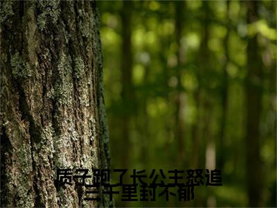 质子跑了长公主怒追三千里封不郁（司离封不郁）全文免费阅读无弹窗大结局_（质子跑了长公主怒追三千里封不郁阅读全文大结局）司离封不郁最新章节列表