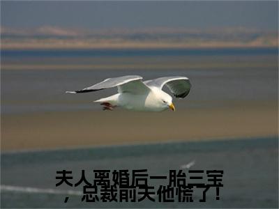 夫人离婚后一胎三宝，总裁前夫他慌了！（洛晚星谢南凛）全文免费阅读无弹窗大结局_（洛晚星谢南凛）小说免费阅读最新章节列表