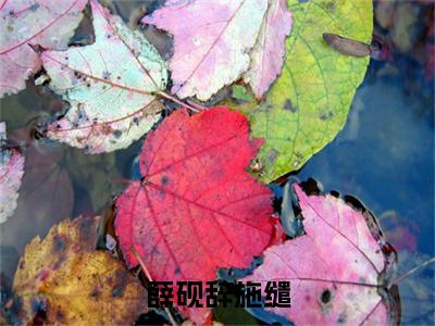 (番外)+(全文)薛砚辞施缱：番外+全文+后续（薛砚辞施缱）完整版小说阅读_薛砚辞施缱：番外+全文+后续免费阅读_笔趣阁（薛砚辞施缱）