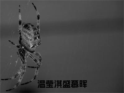 盛慕晖温莹淇（温莹淇盛慕晖）全文免费阅读无弹窗_盛慕晖温莹淇最新小说_笔趣阁