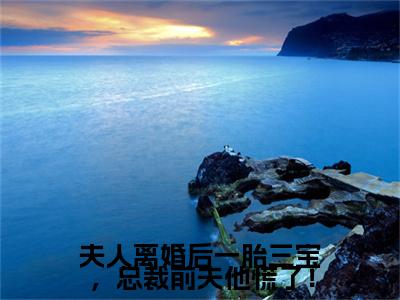 (番外)+(全文)洛晚星谢南凛：夫人离婚后一胎三宝，总裁前夫他慌了！结局+番外（洛晚星谢南凛）全文免费阅读无弹窗大结局_（洛晚星谢南凛：夫人离婚后一胎三宝，总裁前夫他慌了！结局+番外免费阅读全文大结局）最新章节列表_笔趣阁（洛晚星谢南凛：夫人离婚后一胎三宝，总裁前夫他慌了！结局+番外）