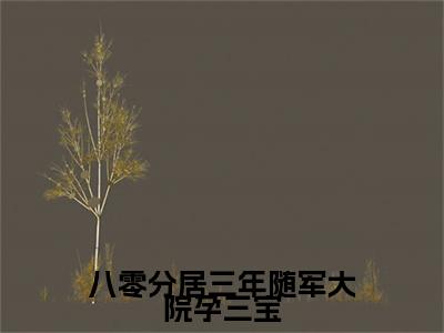 八零分居三年随军大院孕三宝小说（陆霜降厉湛）全文免费阅读_（陆霜降厉湛）八零分居三年随军大院孕三宝最新章节列表笔趣阁