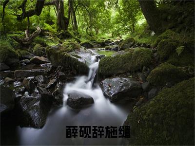 薛砚辞施缱：全文+后续小说（薛砚辞施缱）免费热文在线阅读无弹窗_薛砚辞施缱：全文+后续最新章节阅读全文（薛砚辞施缱）
