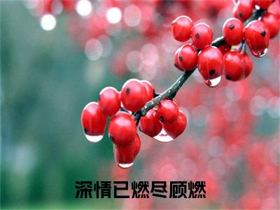 深情已燃尽顾燃（宋林溪顾燃）小说在线阅读_深情已燃尽顾燃免费阅读笔趣阁（宋林溪顾燃）