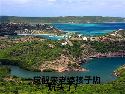 最新章节一觉醒来老婆孩子热炕头了？前文（夏哭夜陆鸣）_一觉醒来老婆孩子热炕头了？前文夏哭夜陆鸣最新章节