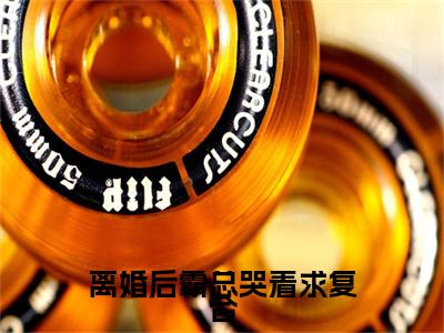 季封致袁初夏（离婚后霸总哭着求复合：结局+番外）全文免费阅读无弹窗大结局_(季封致袁初夏)最新章节列表_笔趣阁（离婚后霸总哭着求复合：结局+番外）