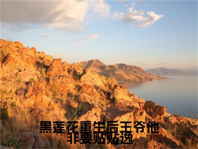 白瑾兮萧褚全文免费阅读_（黑莲花重生后王爷他非要贴贴逸免费阅读无弹窗）白瑾兮萧褚最新章节列表笔趣阁