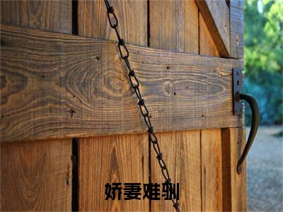娇妻难驯（时鸢）小说全文免费阅读-娇妻难驯（时鸢）免费在线阅读完整版