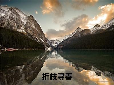 赵新玲徐君昊：结局+番外(折枝寻春)全文免费阅读无弹窗大结局_(赵新玲徐君昊：结局+番外)最新章节列表_笔趣阁(折枝寻春)