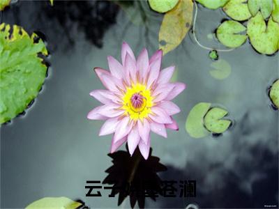 云子娆墨苍澜在线阅读（云子娆墨苍澜）全文免费阅读无弹窗大结局_云子娆墨苍澜最新章节列表笔趣阁（云子娆墨苍澜）