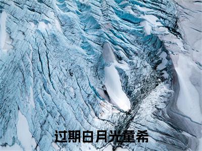 傅晏寻童希：结局+番外(过期白月光童希)全文免费阅读无弹窗大结局_(傅晏寻童希：结局+番外)最新章节列表_笔趣阁(过期白月光童希)
