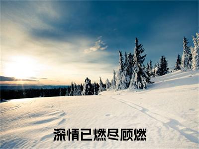 (番外)+(全文)宋林溪顾燃：结局+番外（深情已燃尽顾燃）全文免费阅读无弹窗大结局_(深情已燃尽顾燃：结局+番外)最新章节列表_笔趣阁（深情已燃尽顾燃）
