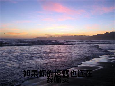 季南辞喻灵在线阅读（如果你的遗憾也还在辞喻灵）全文免费阅读无弹窗大结局
