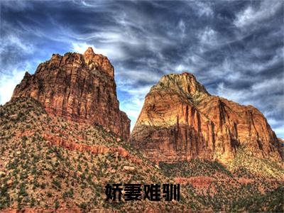时鸢前文（娇妻难驯）全文浏览_时鸢前文全文浏览