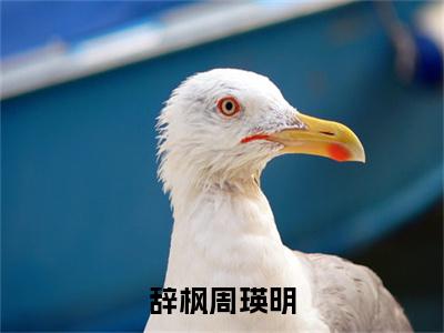 辞枫周瑛明小说全文免费阅读_（周瑛明辞枫）辞枫周瑛明完结版在线阅读最新章节列表笔趣阁