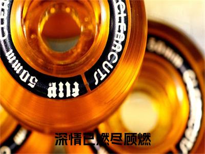 宋林溪顾燃（深情已燃尽顾燃）全文免费阅读无弹窗大结局_宋林溪顾燃最新章节列表_笔趣阁