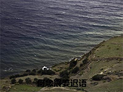 (结局)+(全文)姜迟语何念宸（何念宸姜迟语：结局+番外）全文免费阅读无弹窗大结局_(姜迟语何念宸)最新章节列表_笔趣阁（何念宸姜迟语：结局+番外）