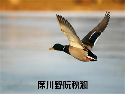 完结文席川野阮秋澜席川野阮秋澜最新章节列表_完结文席川野阮秋澜全文免费阅读（席川野阮秋澜）