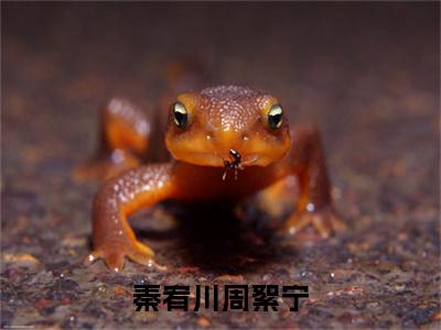 秦宥川周絮宁小说（周絮宁秦宥川）全文免费阅读无弹窗大结局_秦宥川周絮宁全文免费完结版阅读（周絮宁秦宥川）