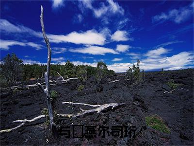 云婳司珩结局+番外（与婳燕尔司珩）全文免费阅读无弹窗大结局_云婳司珩结局+番外完整版最新全章节