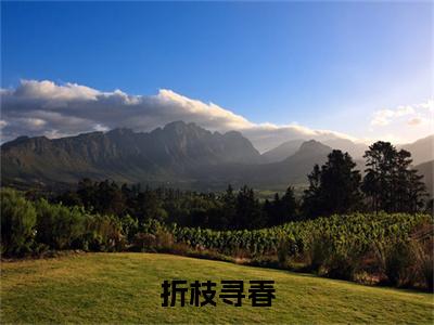赵新玲徐君昊（折枝寻春）全文在线阅读无弹窗大结局_（折枝寻春）最新章节列表_笔趣阁