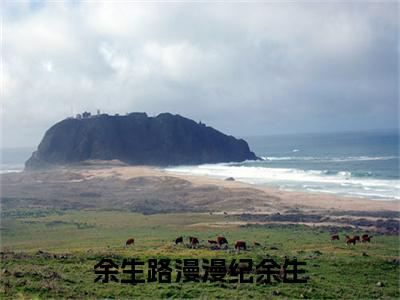 陆漫漫纪余生（余生路漫漫纪余生）全文免费阅读无弹窗大结局_余生路漫漫纪余生全文阅读_笔趣阁（陆漫漫纪余生）