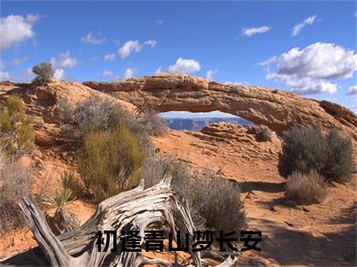 初逢青山梦长安（江清雾季晏离）小说全文免费阅读无弹窗大结局_（江清雾季晏离）最新章节列表（初逢青山梦长安）