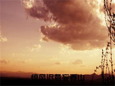 惊风迟意妄春山在线阅读（云渺鹤寻小说）全文免费阅读无弹窗大结局_惊风迟意妄春山免费最新章节列表