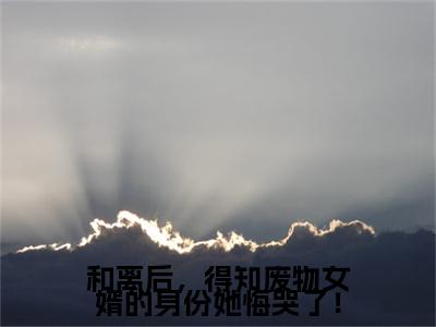 和离后，得知废物女婿的身份她悔哭了！小说全文免费阅读无弹窗大结局_（和离后，得知废物女婿的身份她悔哭了！全文免费阅读）杨珏最新章节列表笔趣阁