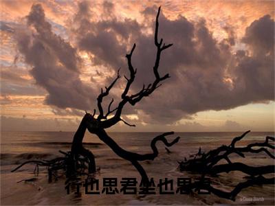 行也思君坐也思君：结局+番外（沈辞州苏然姜绾歌）小说免费更新在线阅读_行也思君坐也思君：结局+番外免费全文阅读笔趣阁（沈辞州苏然姜绾歌）