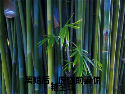 离婚后，废物前妻惊艳全球结局+番外txt（盛夏霍廷骁）全文番外免费在线阅读_离婚后，废物前妻惊艳全球结局+番外最新章节列表_笔趣阁（盛夏霍廷骁）