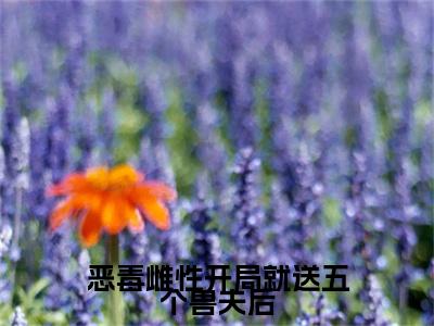 恶毒雌性开局就送五个兽夫后（萧锦笙）全文免费阅读无弹窗大结局_（萧锦笙）恶毒雌性开局就送五个兽夫后最新章节列表