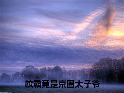 《傅北尧封晚媞》全文免费阅读无弹窗大结局-校霸竟是京圈太子爷无弹窗阅读
