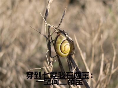 魏沐辰林诗晴在线阅读（穿到七零我有两宝：一空间二萌宝）全文免费阅读无弹窗大结局