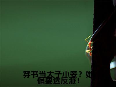 唐铭辰柳茹媚（穿书当太子小妾？她偏要选反派！小说）全文免费阅读无弹窗大结局_穿书当太子小妾？她偏要选反派！小说免费阅读最新章节列表_笔趣阁（唐铭辰柳茹媚小说）
