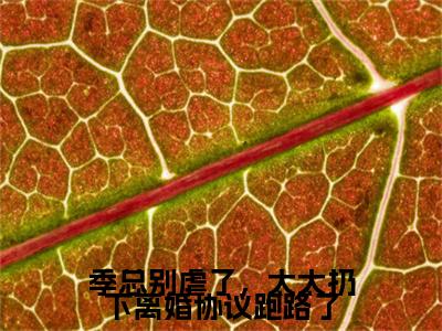 季总别虐了，太太扔下离婚协议跑路了（桑榆晚季司宸）全文免费阅读无弹窗_桑榆晚季司宸最新小说_笔趣阁