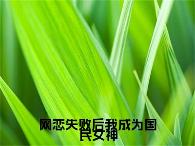 (番外)+(全文)网恋失败后我成为国民女神：全本+番外+后续小说免费下载阅读_(江野黎念)网恋失败后我成为国民女神：全本+番外+后续最新章节列表_笔趣阁（江野黎念）