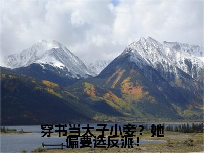 唐铭辰柳茹媚（穿书当太子小妾？她偏要选反派！小说）全文免费阅读无弹窗大结局_（唐铭辰柳茹媚小说）最新章节列表