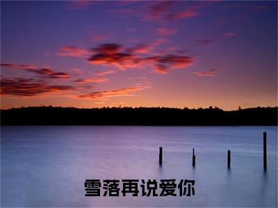 宋南夕周京泽（雪落再说爱你）全文在线免费阅读无弹窗_宋南夕周京泽最新章节列表_笔趣阁