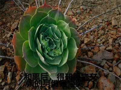 (杨珏：结局+番外)书荒宝藏热文必读推荐（和离后，得知废物女婿的身份她悔哭了！）全文免费阅读无弹窗大结局_(杨珏：结局+番外)最新章节列表_笔趣阁（和离后，得知废物女婿的身份她悔哭了！）