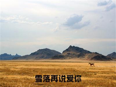 雪落再说爱你（宋南夕周京泽全章节完整版）免费阅读_雪落再说爱你（宋南夕周京泽）最新章节列表笔趣阁