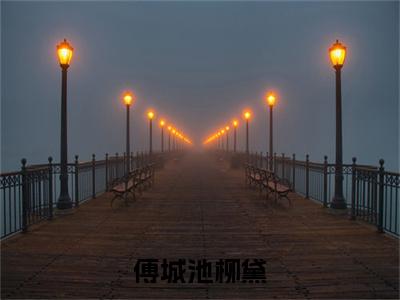 傅城池柳黛全文免费在线阅读_（傅城池柳黛免费阅读无弹窗）柳黛傅城池全文免费完结版阅读