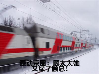 小说轰动京圈：顾太太她又绿了顾总！在线阅读-正版小说《沈柠栀》轰动京圈：顾太太她又绿了顾总！全文阅读