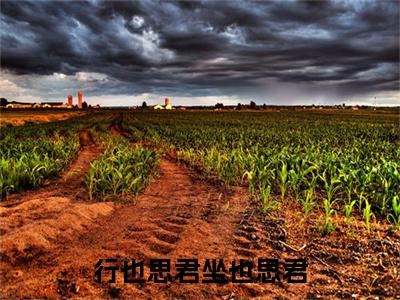 (番外)+(全文)行也思君坐也思君：番外+全文+后续（苏然姜绾歌沈辞州）完整版小说阅读_行也思君坐也思君：番外+全文+后续免费阅读_笔趣阁（苏然姜绾歌沈辞州）