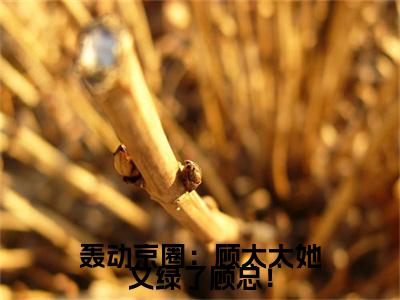 轰动京圈：顾太太她又绿了顾总！（沈柠栀）全文免费阅读无弹窗大结局-轰动京圈：顾太太她又绿了顾总！最新章节列表免费阅读