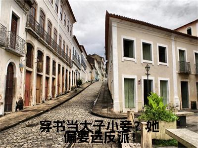柳茹媚唐铭辰（穿书当太子小妾？她偏要选反派！/柳茹媚唐铭辰：结局+番外）全文免费阅读无弹窗大结局_(柳茹媚唐铭辰)最新章节列表_笔趣阁（穿书当太子小妾？她偏要选反派！/穿书当太子小妾？她偏要选反派！：结局+番外）