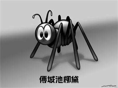 (柳黛傅城池：结局+番外)经典书荒必读(傅城池柳黛)全文免费阅读无弹窗大结局_柳黛傅城池：结局+番外最新章节列表_笔趣阁傅城池柳黛