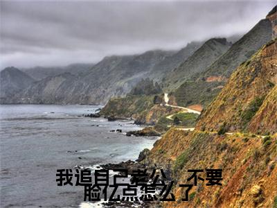 我追自己老公，不要脸亿点怎么了全文免费阅读无弹窗大结局_（虞泠靳越辛）最新章节列表_笔趣阁（我追自己老公，不要脸亿点怎么了小说）
