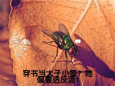(穿书当太子小妾？她偏要选反派！：结局+番外)书荒宝藏热文必读推荐（柳茹媚唐铭辰）全文免费阅读无弹窗大结局_(穿书当太子小妾？她偏要选反派！：结局+番外)最新章节列表_笔趣阁（柳茹媚唐铭辰）